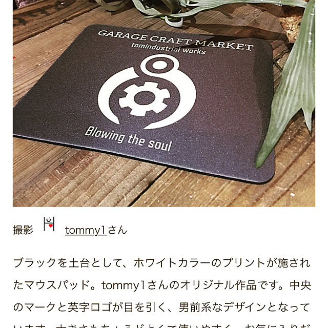 実例写真