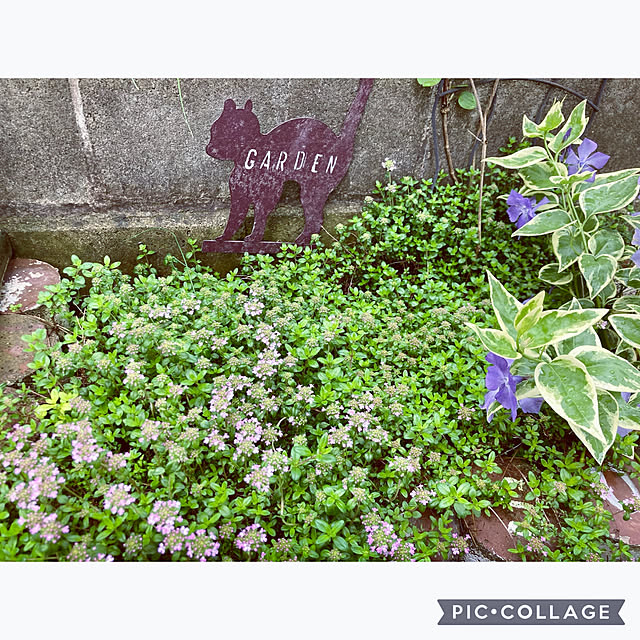 CoCo0617さんの部屋