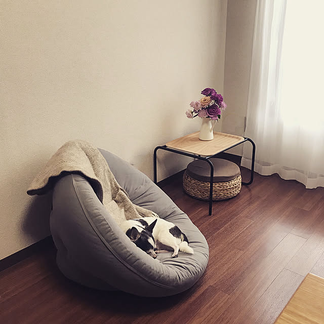 無印良品/IKEA/一人暮らし/ニトリ/リビングのインテリア実例 - 2019-06-15 09:42:59