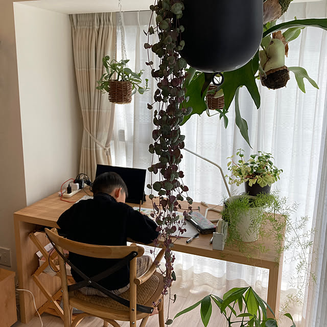 ms710さんの実例写真