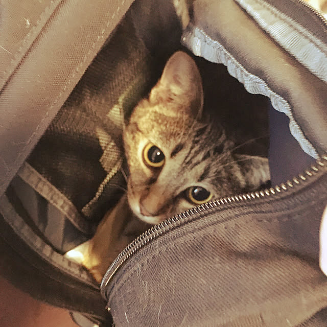 Mさんの実例写真