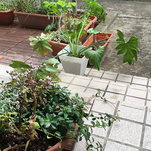 Tomoko.kさんの実例写真