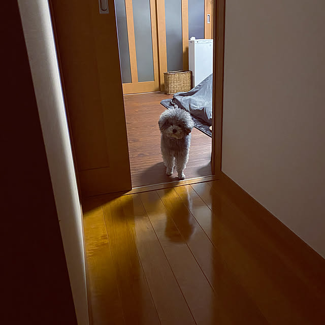 meguko.ryanさんの実例写真