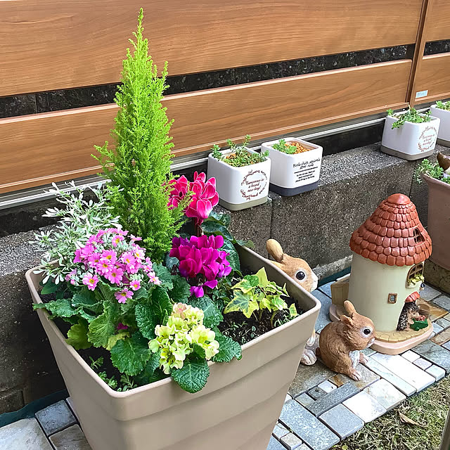 haruminさんの実例写真