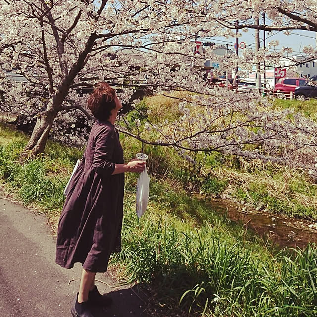 実例写真