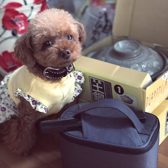 Tiaraさんの実例写真