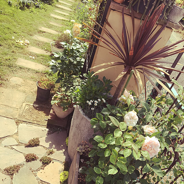 hana_hanaさんの実例写真