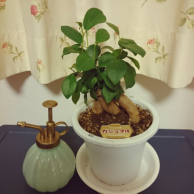 Sumikoさんの実例写真