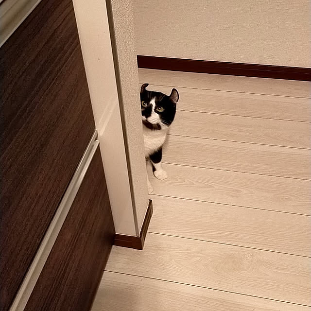 nnk.akさんの実例写真