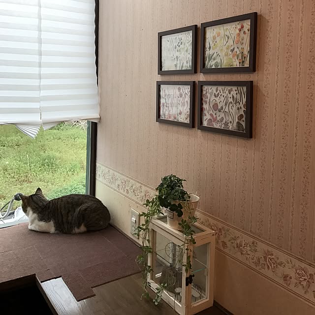 hina_puremamaさんの実例写真