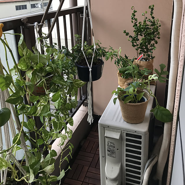 tamaさんの実例写真