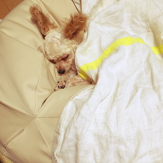 nonさんの実例写真