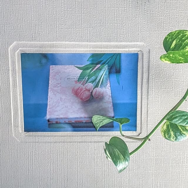 mi-saさんの部屋