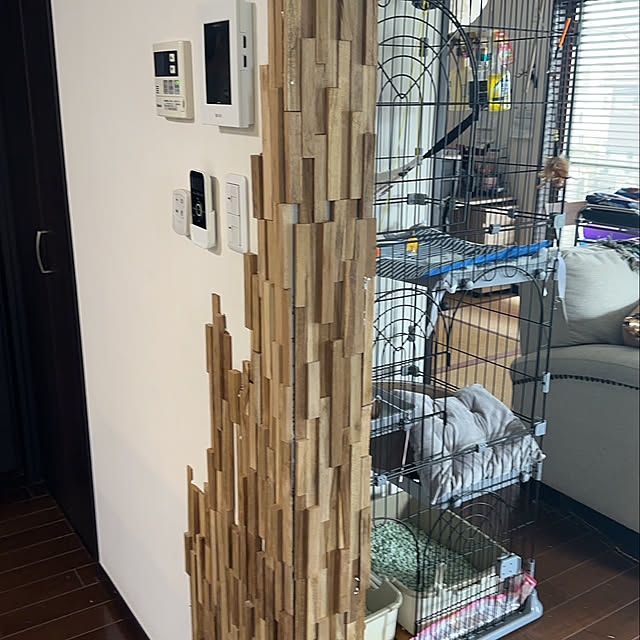 doorknock513さんの部屋