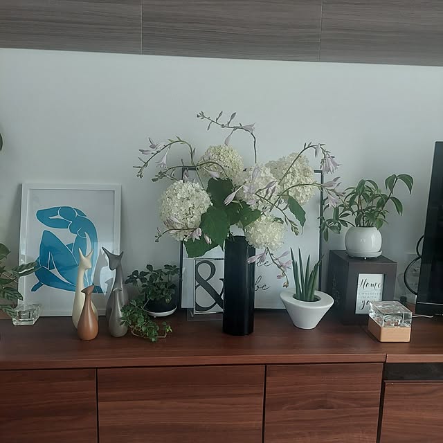 anmomaruさんの部屋