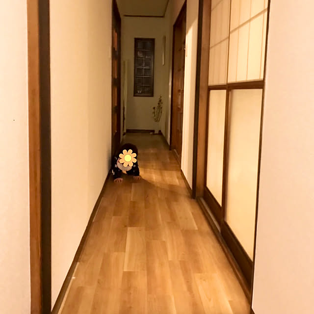 昭和の家/平家/借家/古民家/壁/天井のインテリア実例 - 2021-02-28 10:08:55