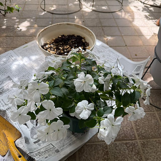 Aqettyさんの部屋