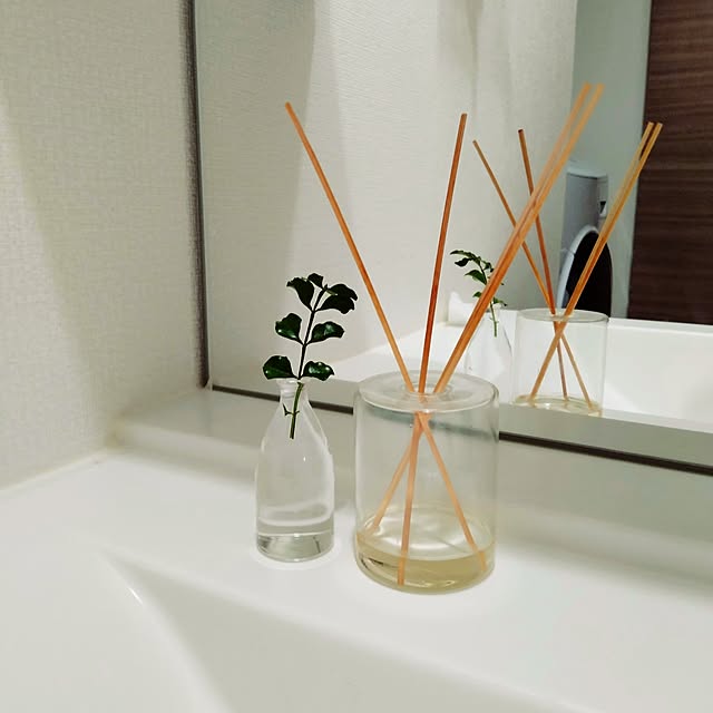 バス/トイレ/観葉植物/北欧/北欧インテリア/シマトリネコ...などのインテリア実例 - 2023-07-10 13:27:50