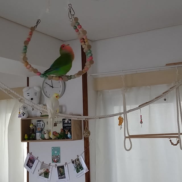 toratanさんの実例写真