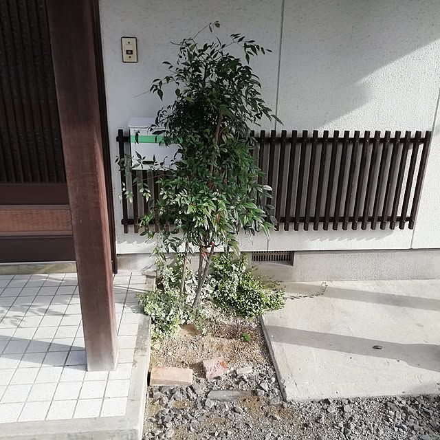 実例写真