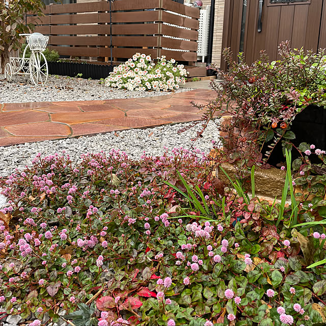 ronronさんの部屋