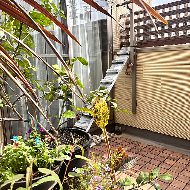 greycatsさんの部屋