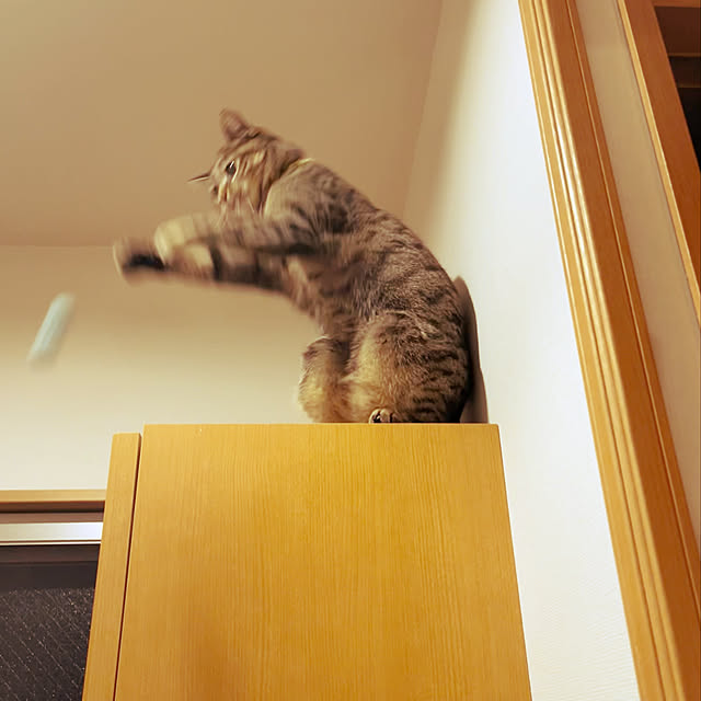 Mさんの実例写真