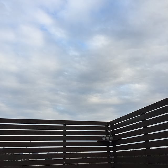 riekoさんの実例写真