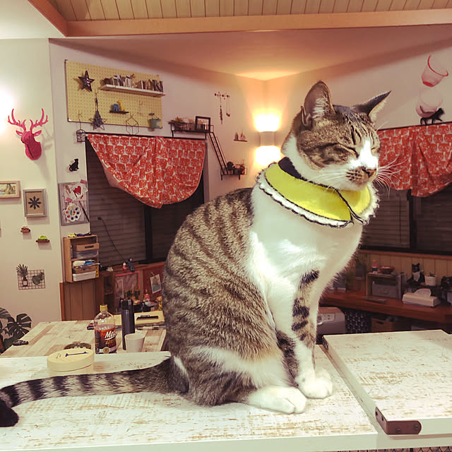 jijiさんの実例写真