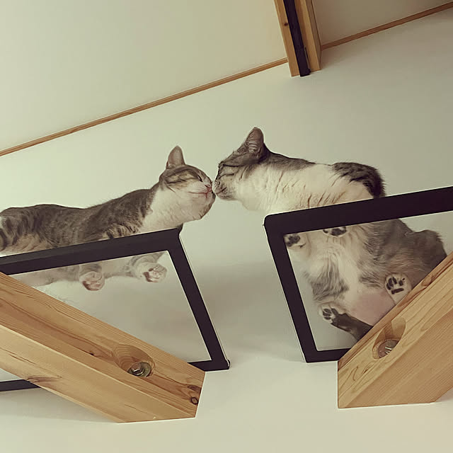 yucciさんの実例写真