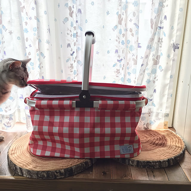 kotoriさんの実例写真