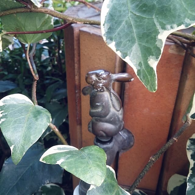 kazu0905さんの実例写真