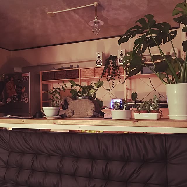 taka_waterfrontさんの実例写真