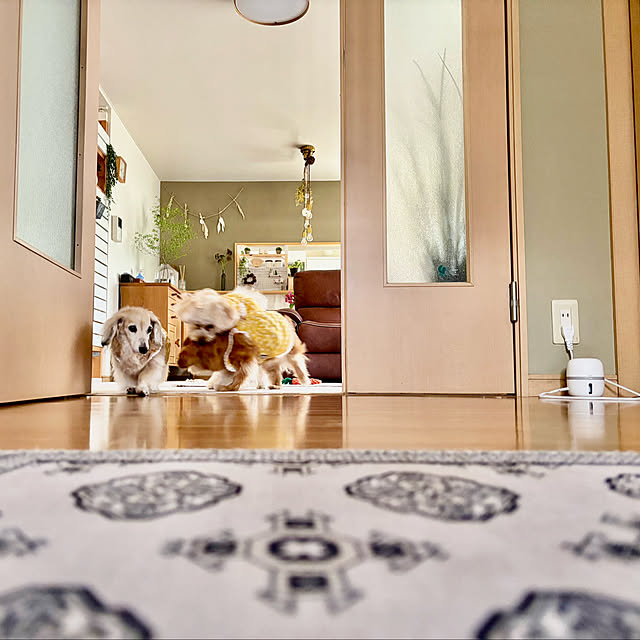 chachamamaさんの部屋