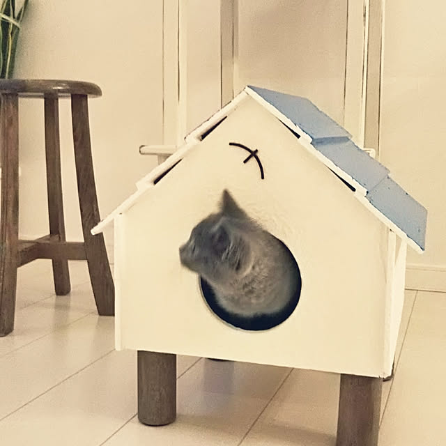 toroさんの実例写真