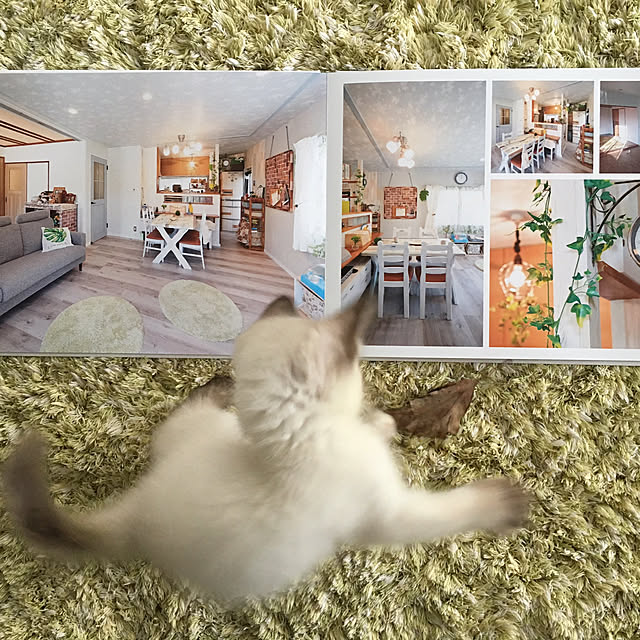 maiikominaさんの実例写真