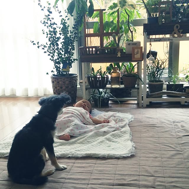 satominさんの実例写真