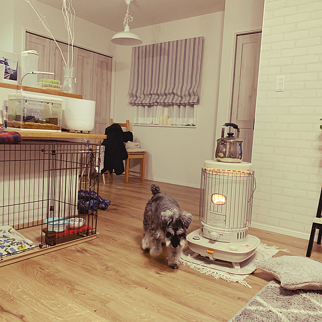 部屋全体のインテリア実例 - 2021-01-29 19:01:19