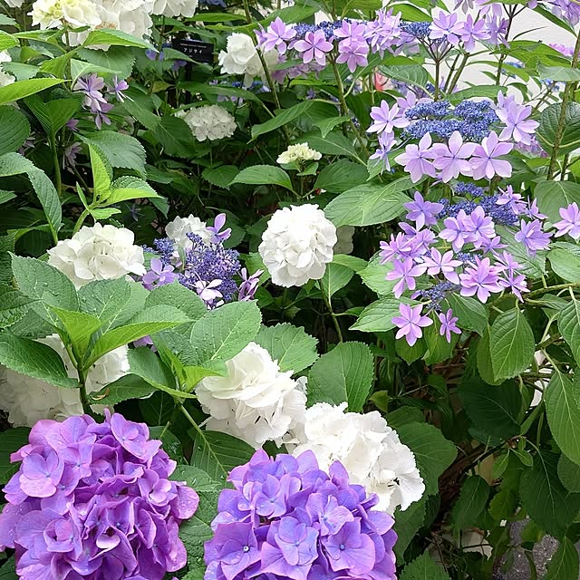 tomonchuさんの部屋
