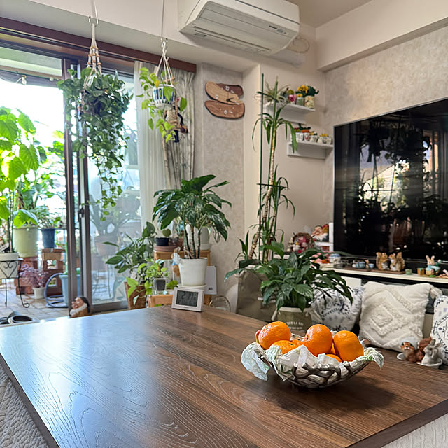 Aqettyさんの部屋