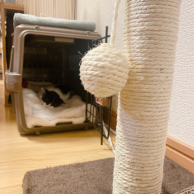 Mikaさんの実例写真