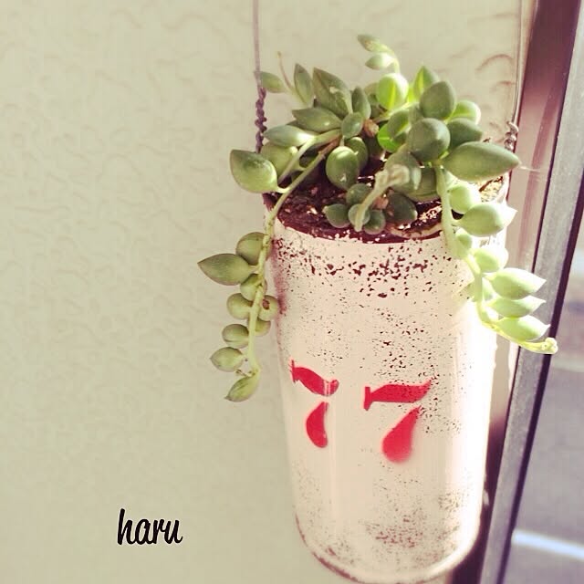 haruさんの実例写真