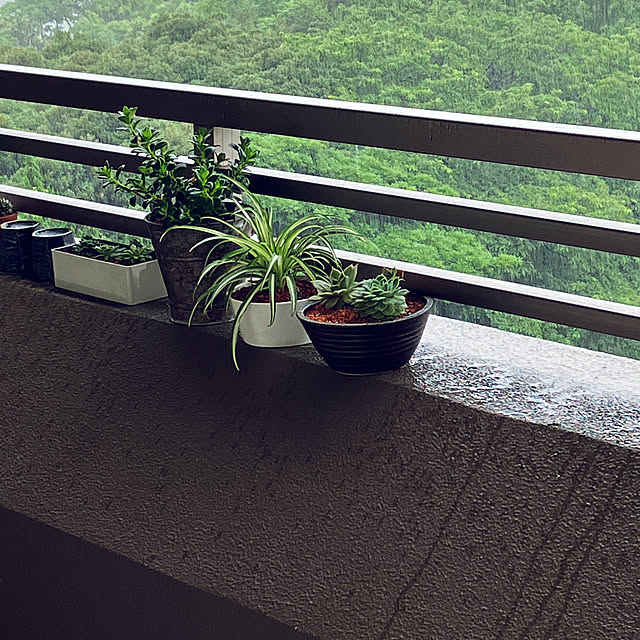 koshiregutyoさんの実例写真