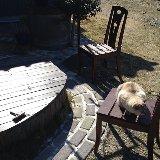 salyuさんの実例写真