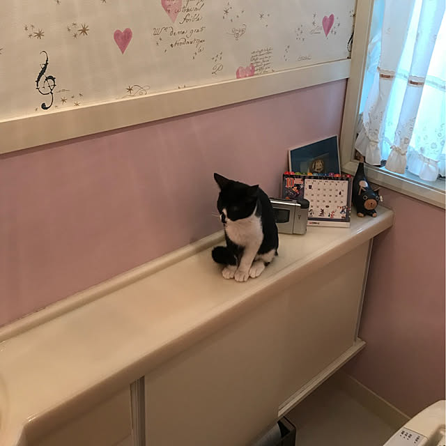 akuakuさんの実例写真