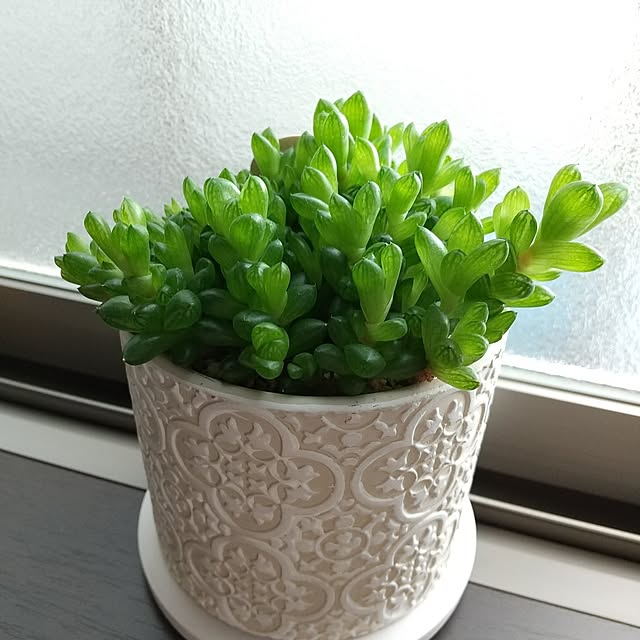 meiさんの部屋