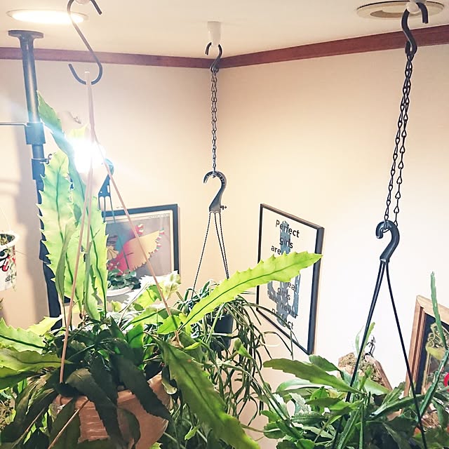 ot-gardenさんの実例写真