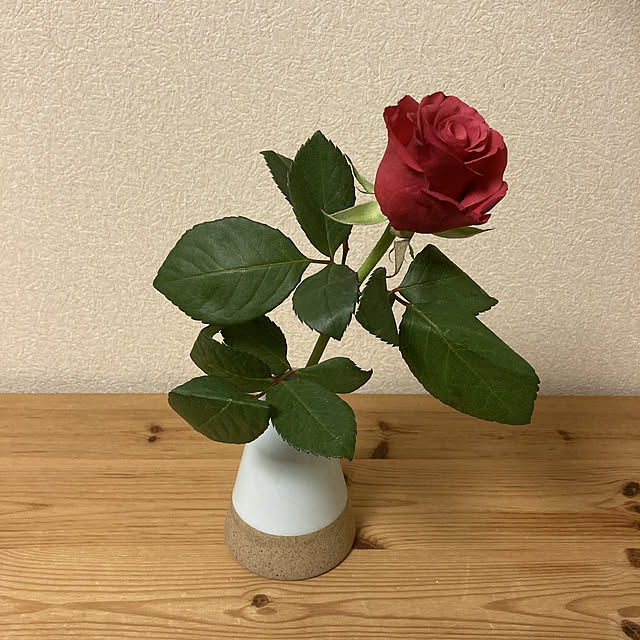 mamboさんの実例写真