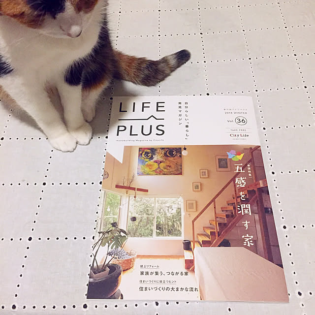 mohayaeteさんの実例写真