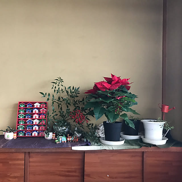 aoinokimiさんの部屋
